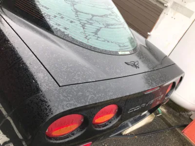 2000 Chevrolet Corvette  GF-CY25E LHD 5660CC (No.J0539)