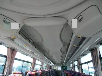 2009 Hino Selega PKG-RU1ESAA Coach bus (No.J0733)
