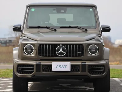 2020 Mercedes-AMG G-Class MANUFAKTUR Edition 300 Limited