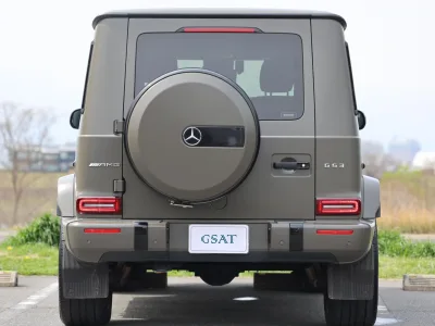 2020 Mercedes-AMG G-Class MANUFAKTUR Edition 300 Limited