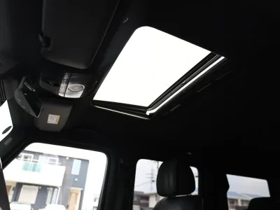 2020 Mercedes-AMG G-Class MANUFAKTUR Edition 300 Limited