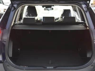 2020 Toyota Rav4 key start Blue (No.830779)