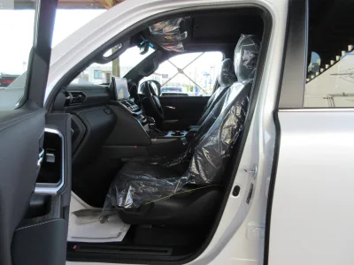 2025 TOYOTA LAND CRUISER 300 3.3 ZX DIESEL (No.960828)