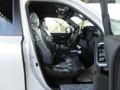 2025 TOYOTA LAND CRUISER 300 3.3 ZX DIESEL (No.960828)