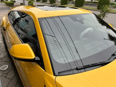 2025 Lamborghini Urus Performante: Unmatched Luxury and Performance SUV (No.960969)