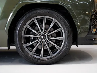 2025 LEXUS LX 500d F SPORT