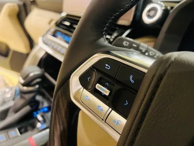 2025 TOYOTA LAND CRUISER 300 ZX 4WD