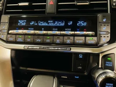 2025 TOYOTA LAND CRUISER 300 ZX 4WD
