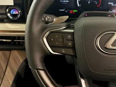 2025 Lexus LM 500h Version L 4WD
