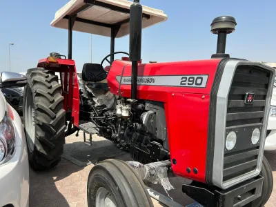 2022 New Massey Ferguson 290 Tractor (No.200822)