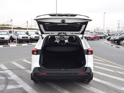 Toyota RAV4 Push 2019 (No-830717)