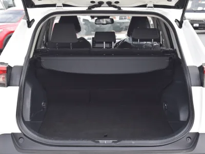 Toyota RAV4 Push 2019 (No-830717)